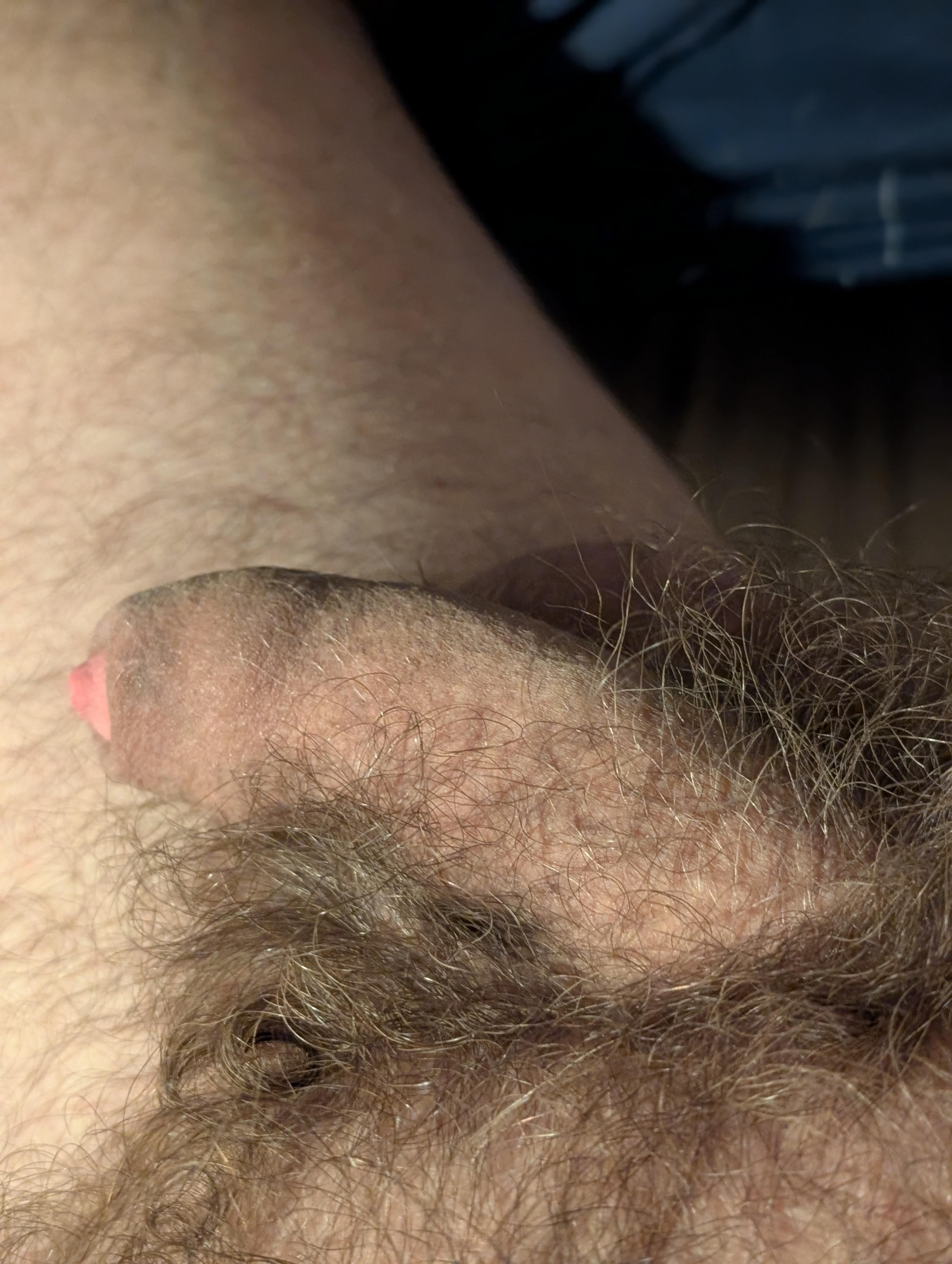 Micha8319 from Germany