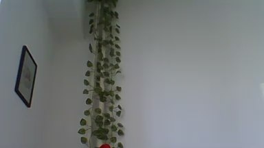 Nick2598 from Bulgaria