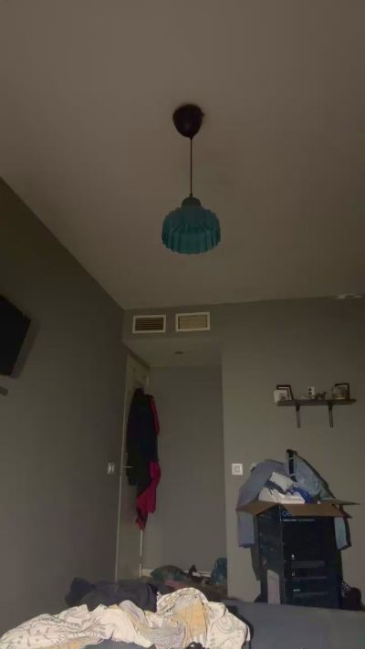 Pollon29_cm from Spain