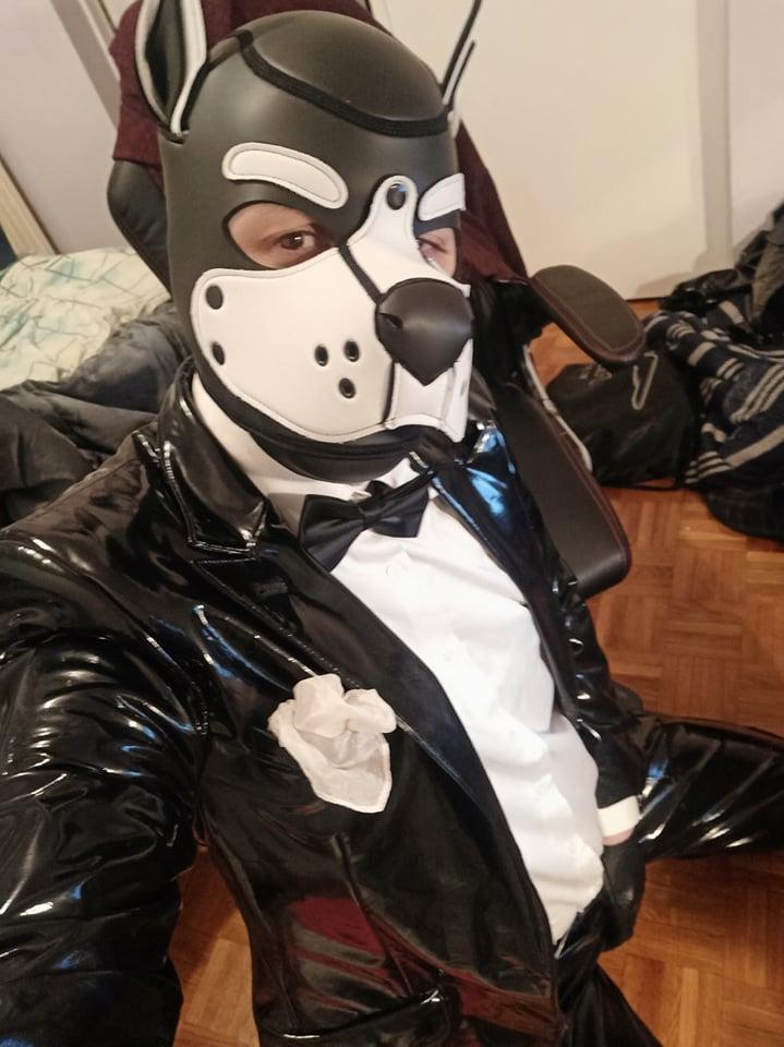 Suitedpup from France