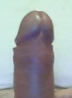 palbri22 from Italy