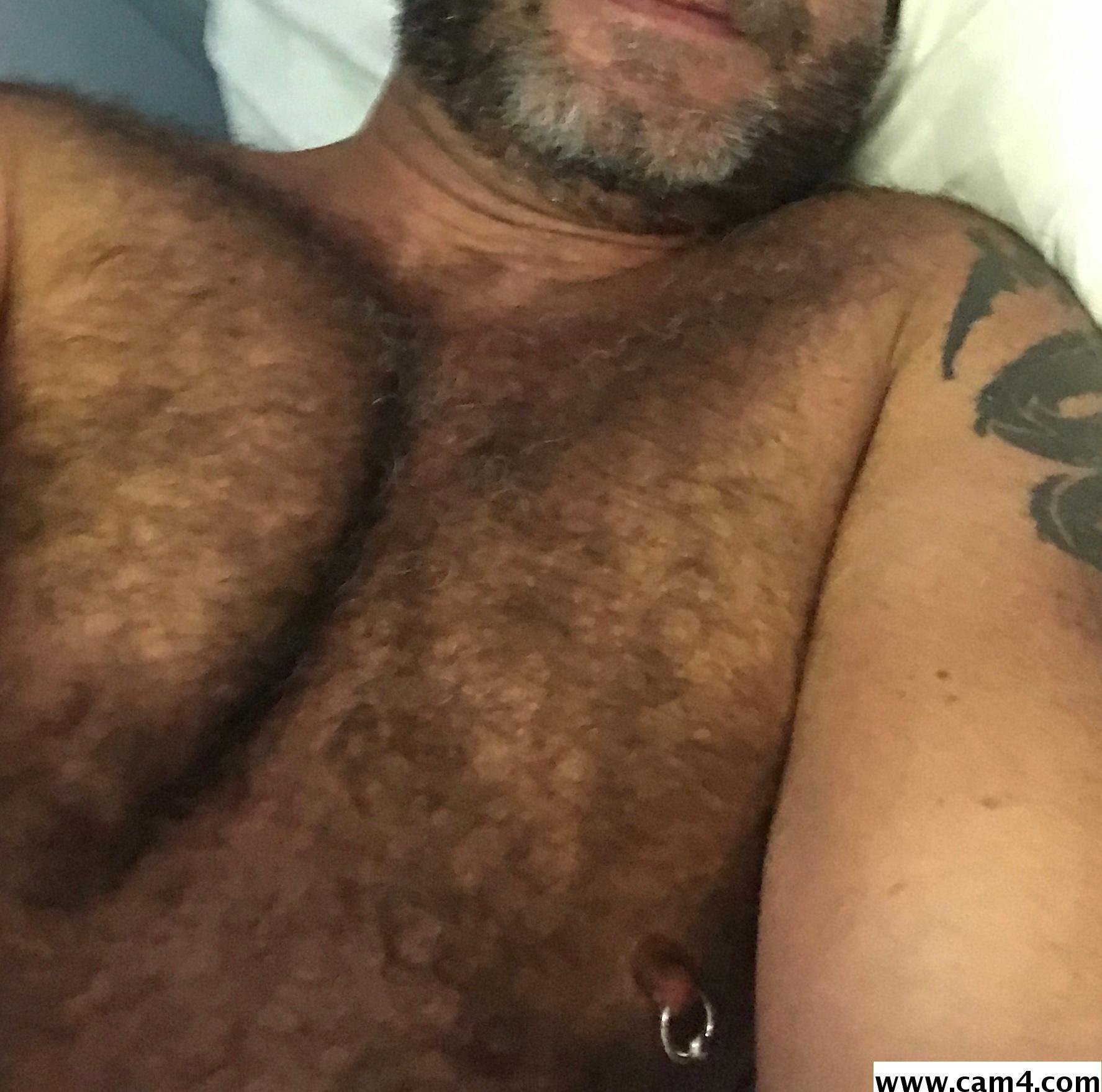 ptibear1 from France