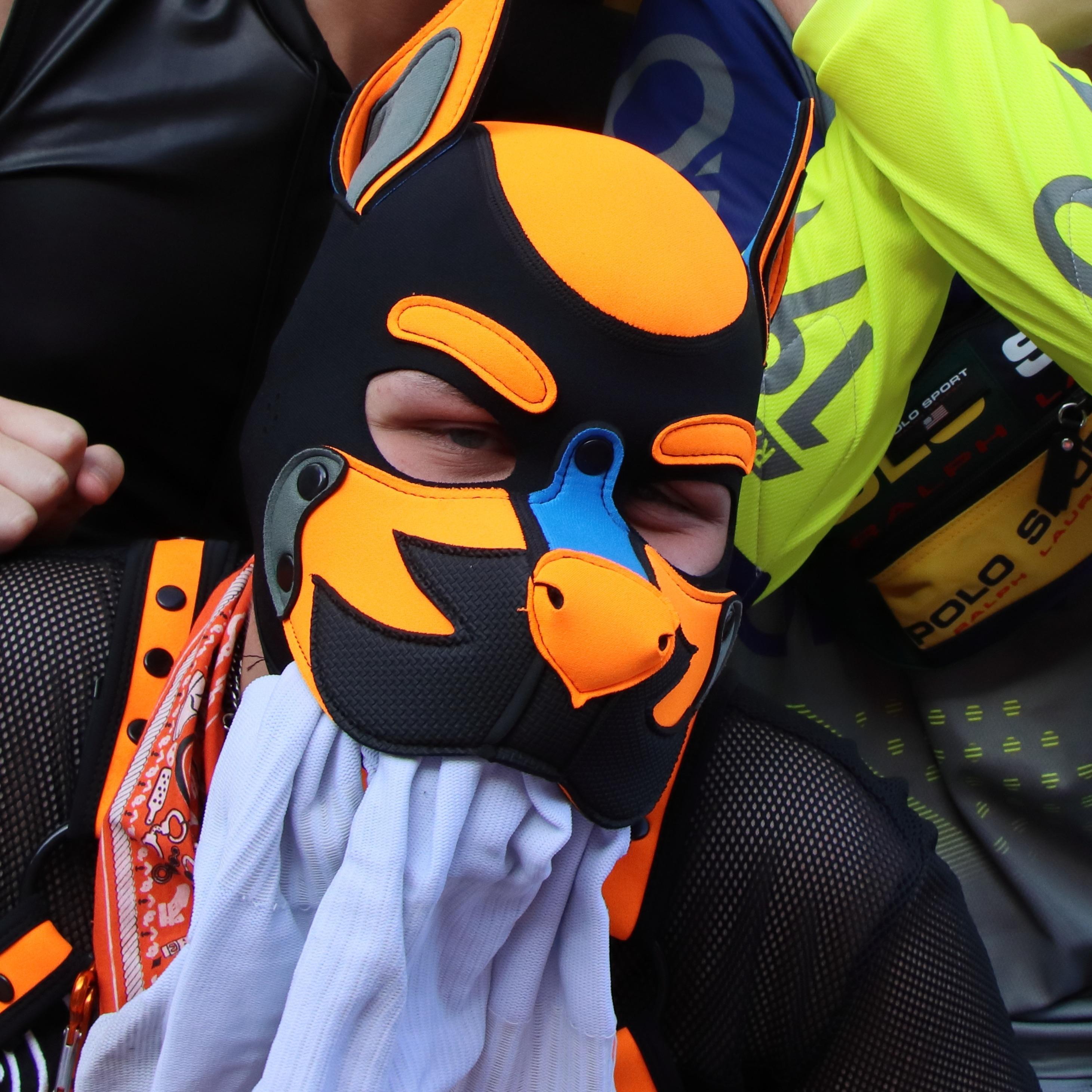 pup_Quentin from Germany