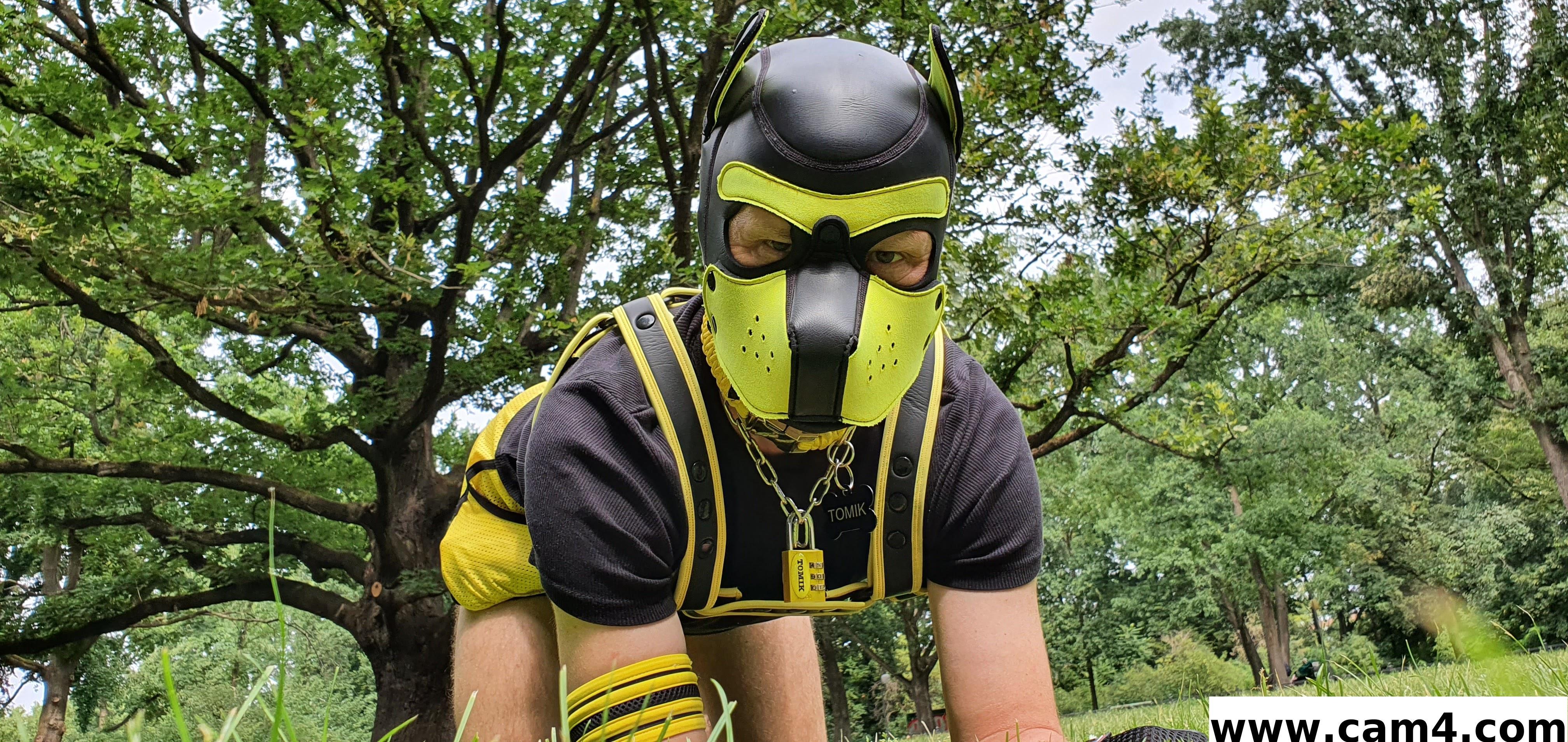 puppy_tomik from Czechia