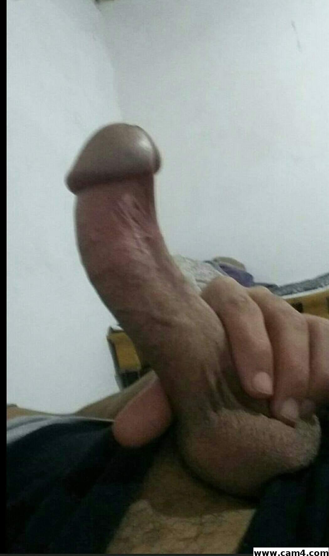 sami883 from Algeria