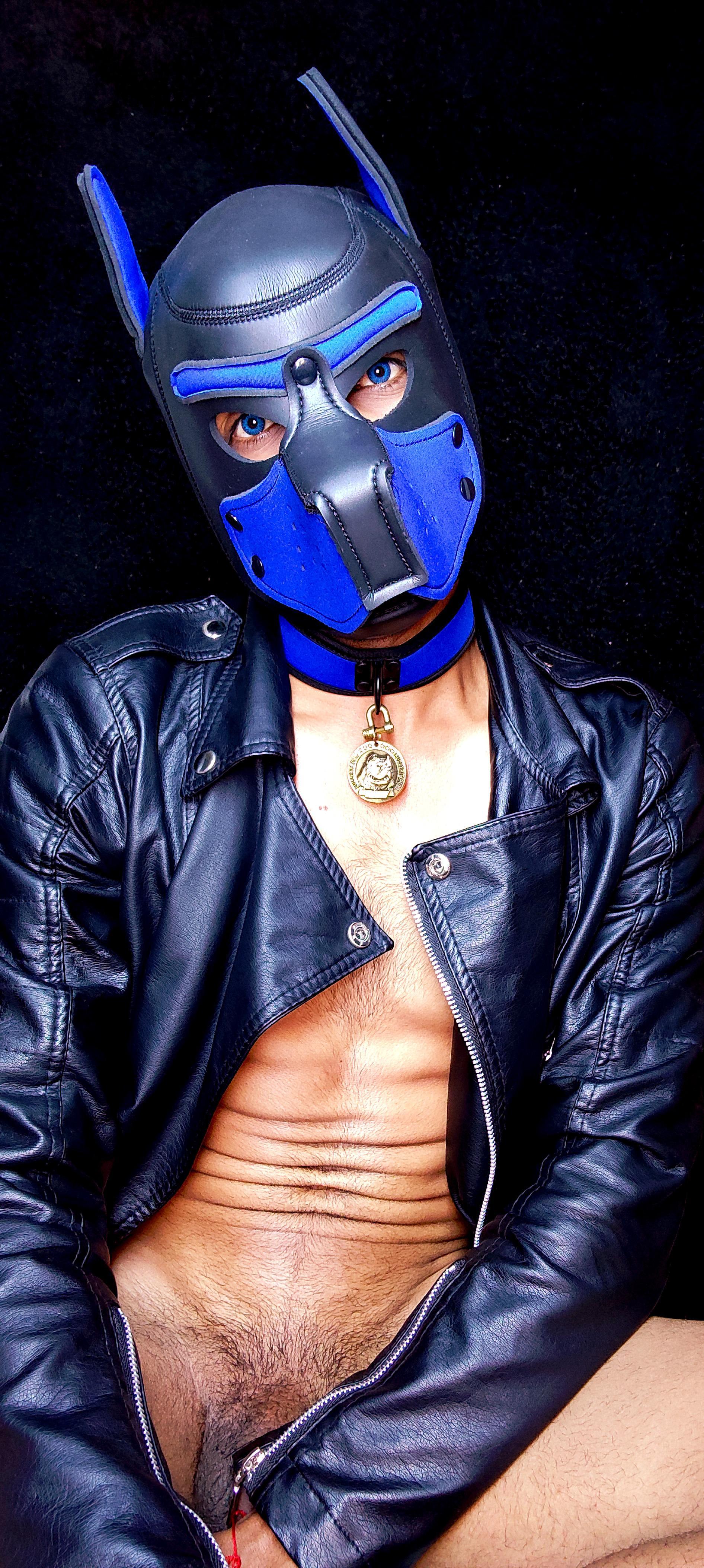 the_dog_lian from Colombia